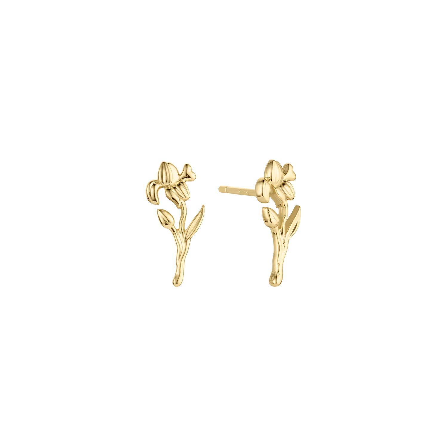 Gold / February