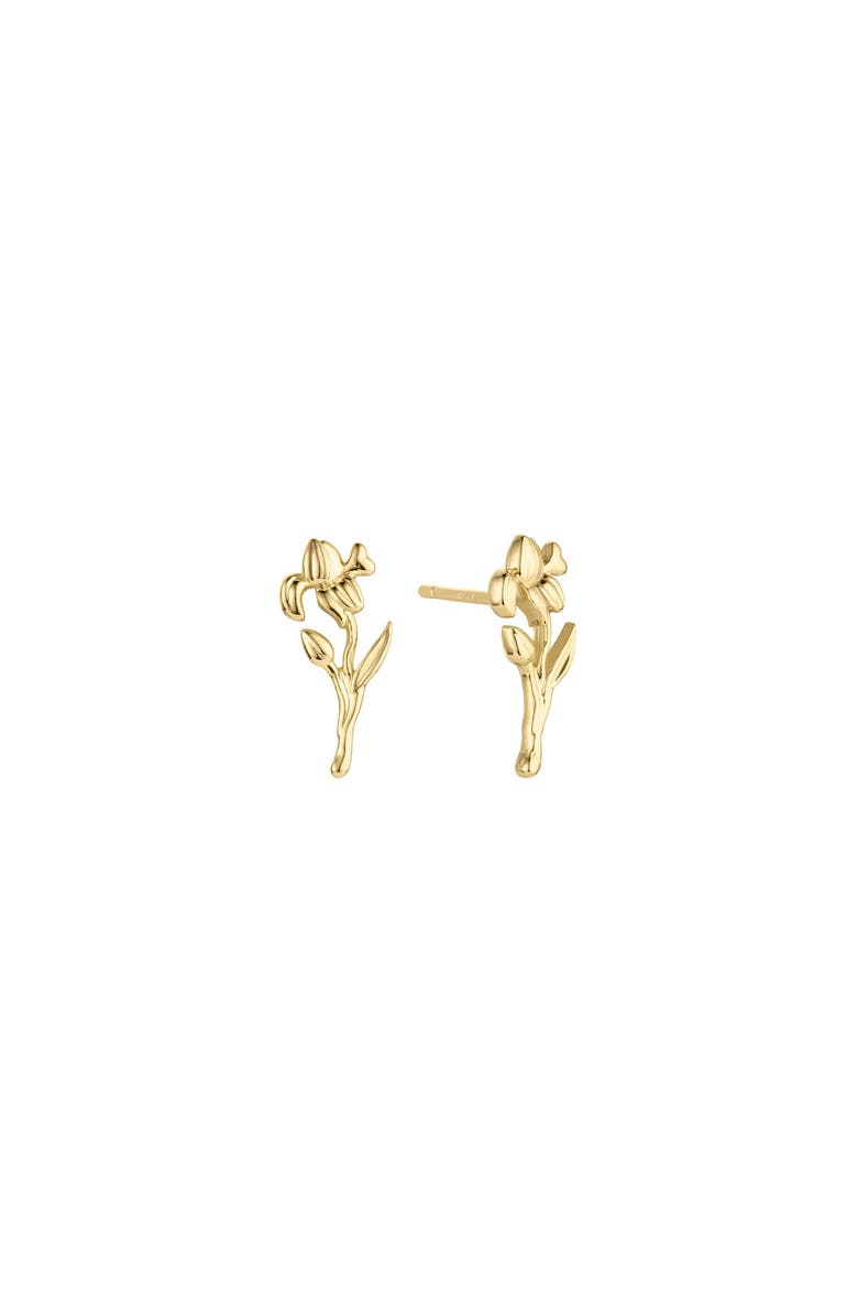 Set & Stones Elsie Birth Flower Studs, Main, color, Gold / February