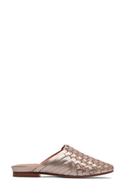 Frankie4 Wallace Mule In Champagne Weave