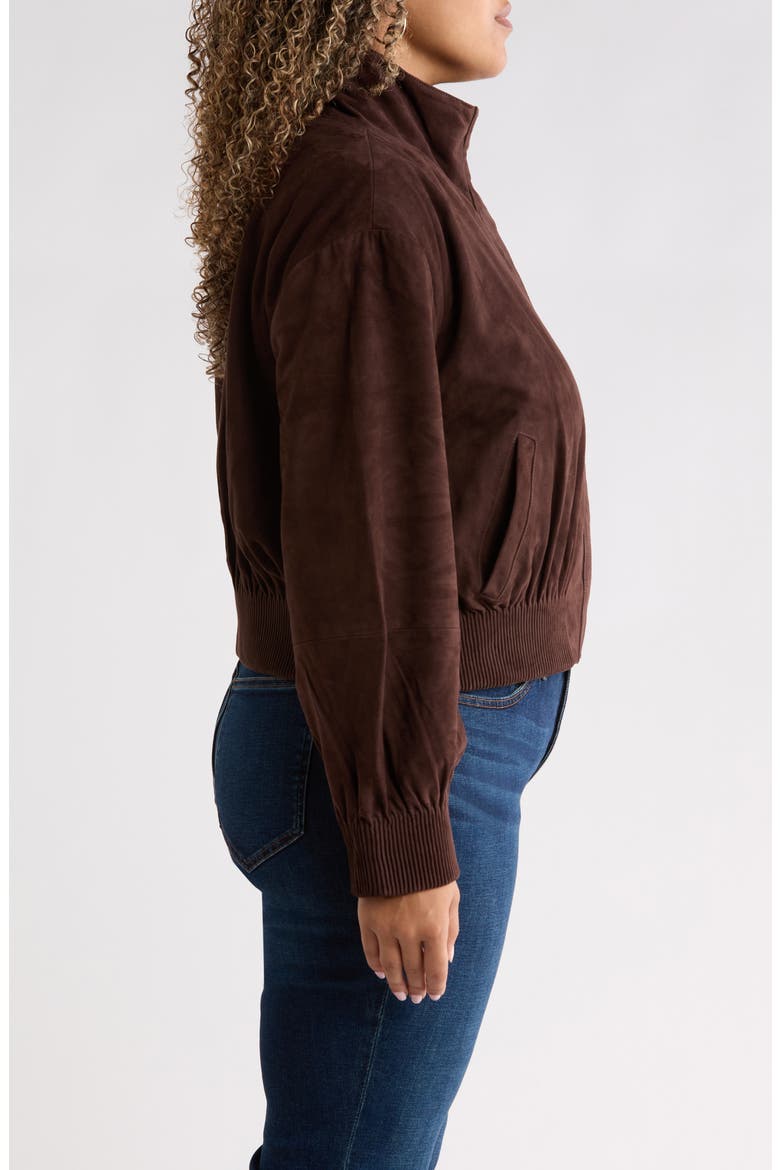 Funnel Neck Suede Bomber Jacket, Alternate, color, BROWN COFFEE