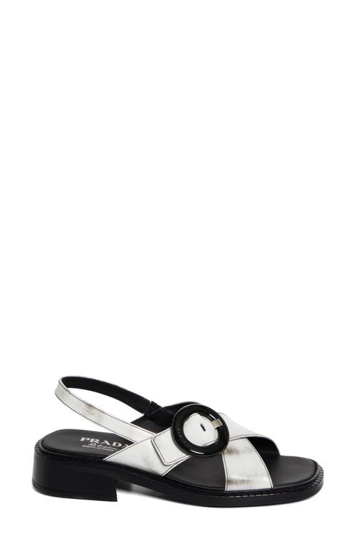 Prada Crisscross Calfskin Leather Sandal In Bianco