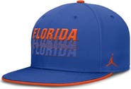 Jordan Brand Men's Jordan Brand  Royal Florida Gators True Primetime Performance Fitted Hat