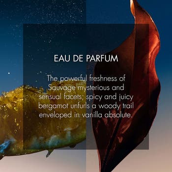Sauvage Eau de Parfum