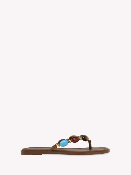 Gianvito Rossi Shanti Thong Embellished Leather Flip Flops In Brown