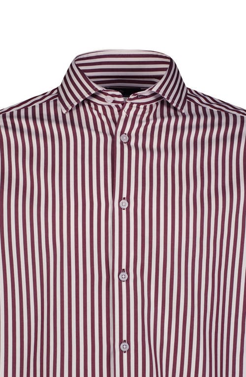 Luchiano Visconti Awning Stripe Long Sleeve  Shirt In Multi