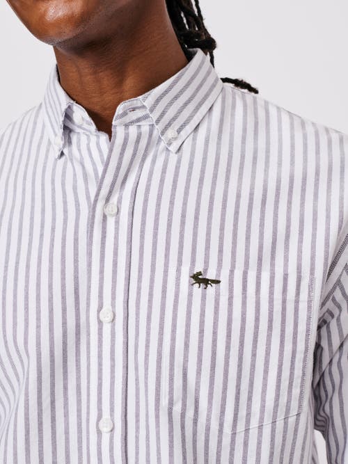 Aubin Aldridge Oxford Button Down Shirt In Purple