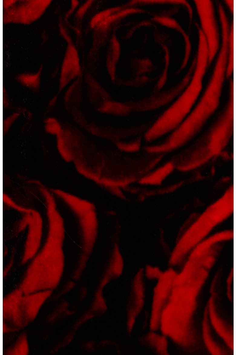 Delavinia Rose Print Long Sleeve Velvet Dress, Alternate, color, RED
