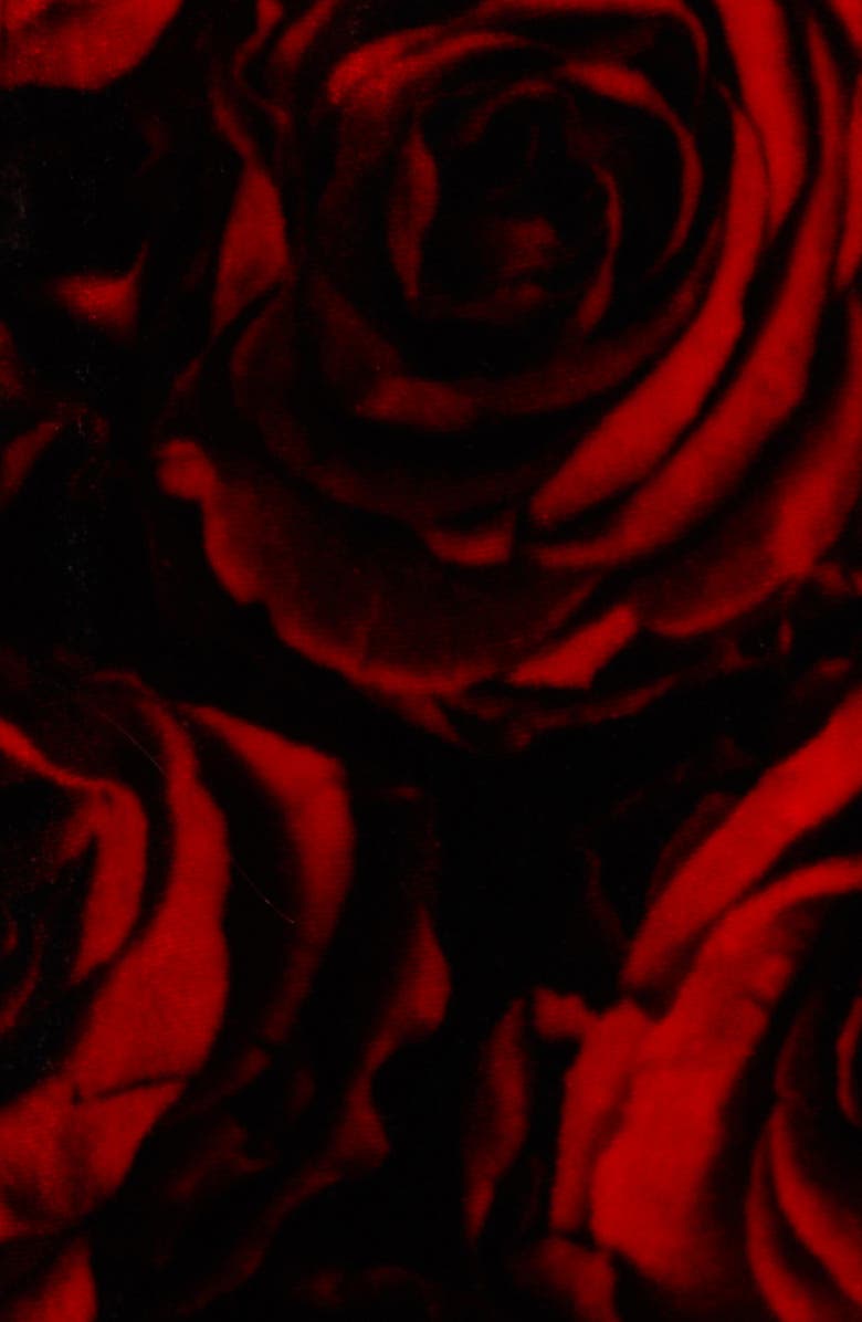 Dries Van Noten Delavinia Rose Print Long Sleeve Velvet Dress, Alternate, color, 