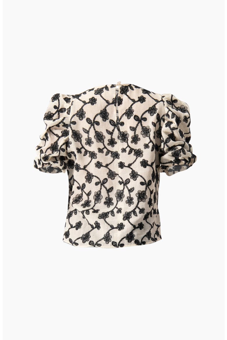 Embroidered Puff-Sleeve Blouse, Alternate, color, Natural