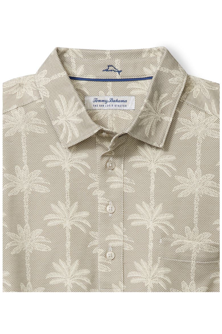 San Lucio Palm Lane Print IslandZone® Polo, Alternate, color, CHINCHILLA