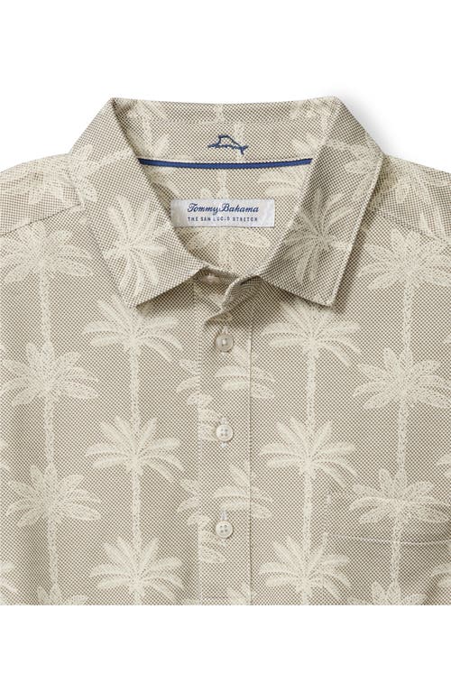 Tommy Bahama San Lucio Palm Lane Print Islandzone® Polo In Chinchilla