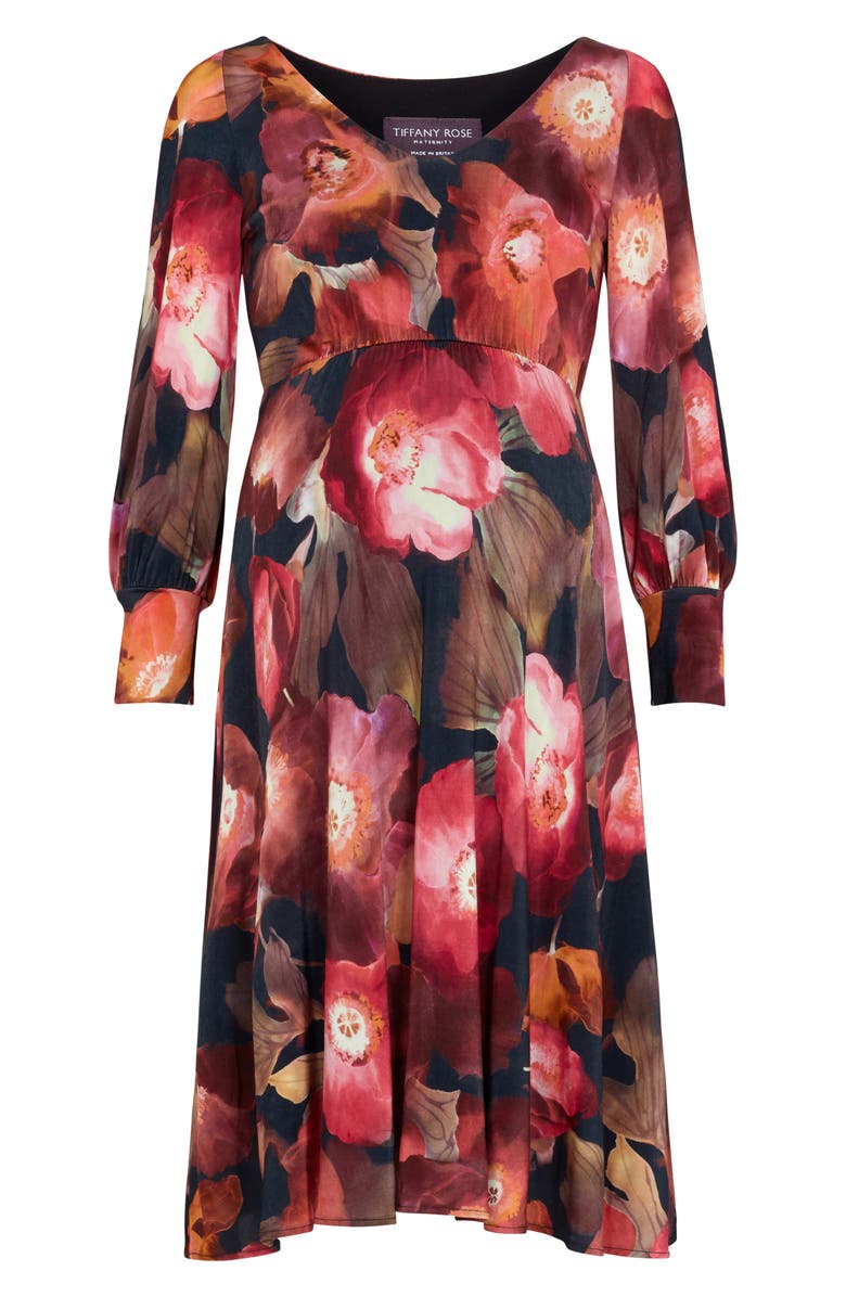 Tiffany Rose Pixie A-Line Maternity Dress, Alternate, color, 