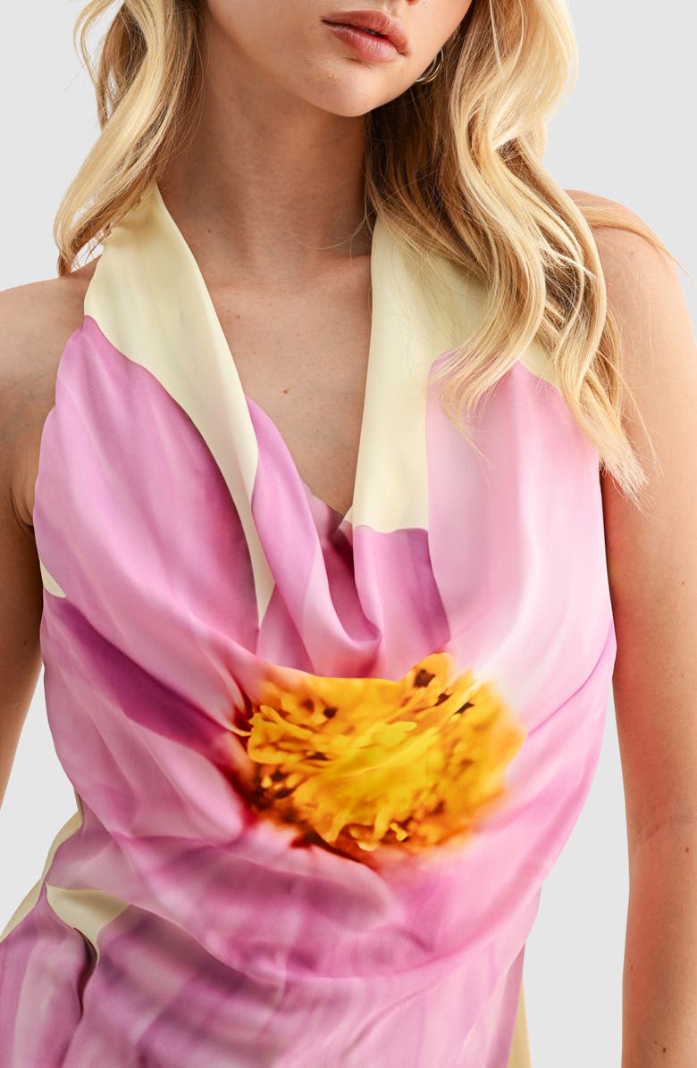 All in Favor Floral Halter Minidress, Alternate, color, Butter Orchid