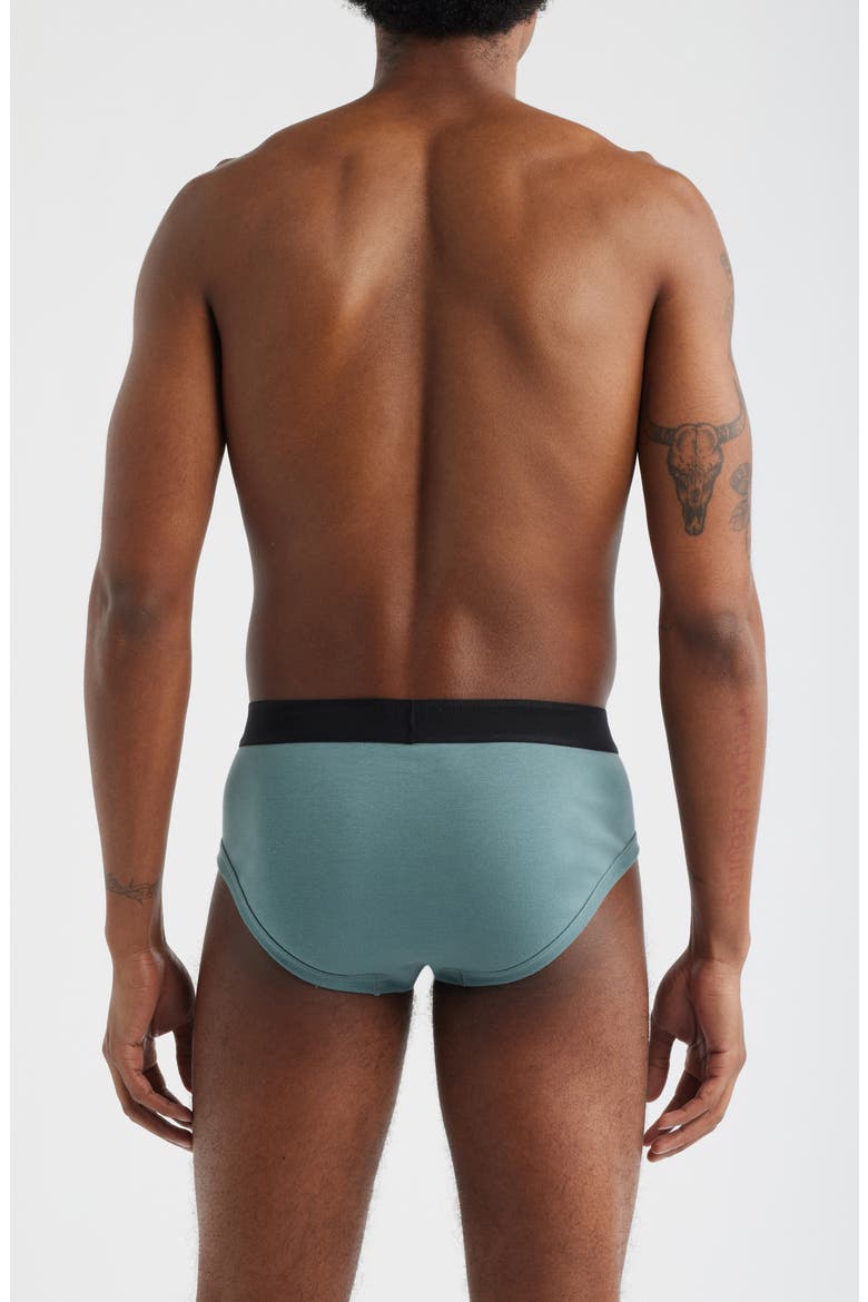 Cotton Stretch Jersey Briefs, Alternate, color, TEAL