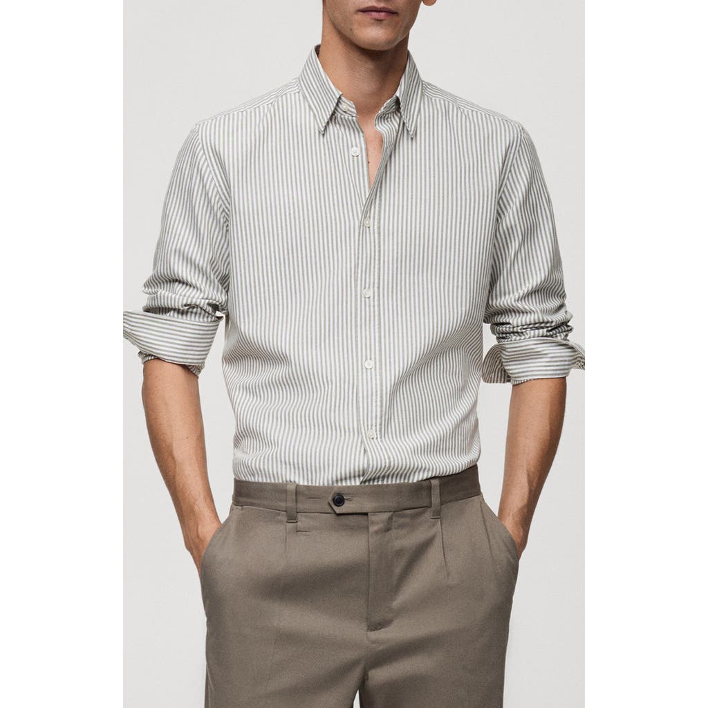 Mango Regular Fit Stripe Cotton Button-up Shirt In Blue
