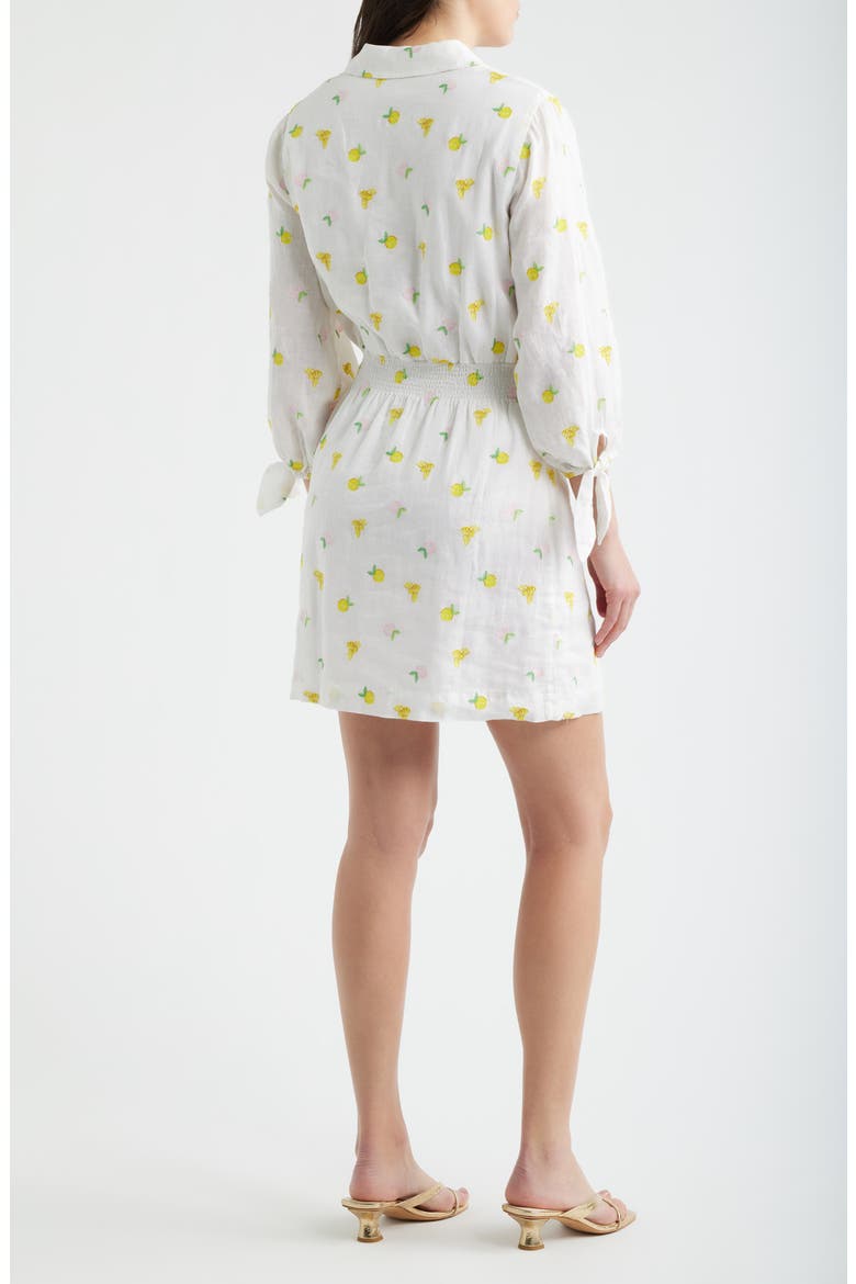 Abralynn Linen Shirtdress, Alternate, color, PINK MUSE LEMON BEE HALF DROP