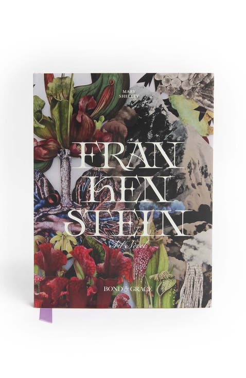 Frankenstein Art Novel