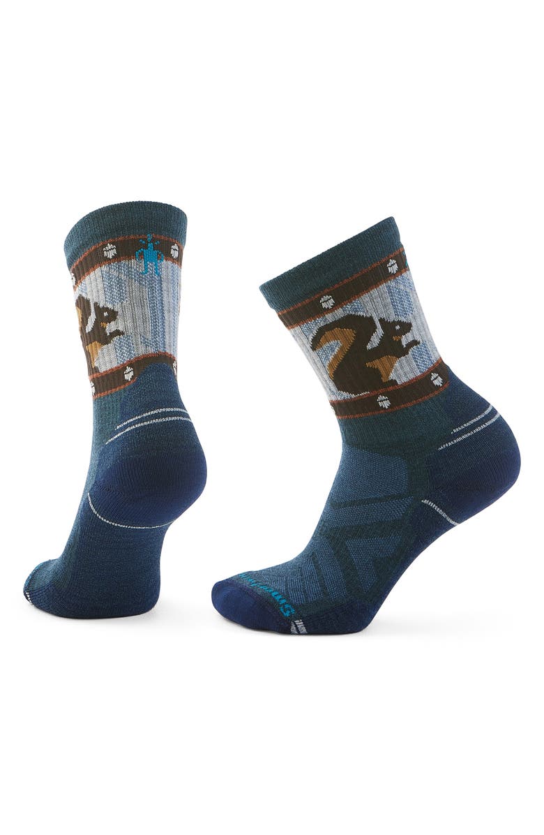 Smartwool Hike Light Cushion Crew Socks, Main, color, 