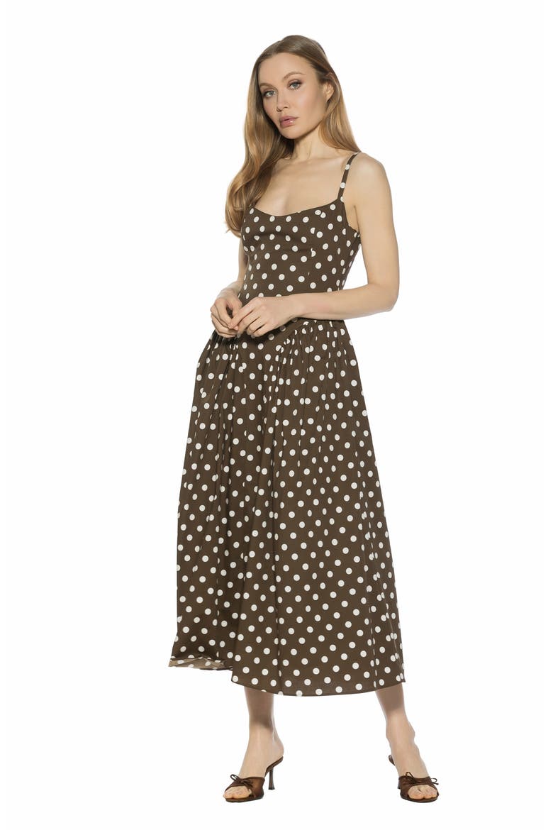 Thalassa Midi Dress, Alternate, color, BROWN POLKA