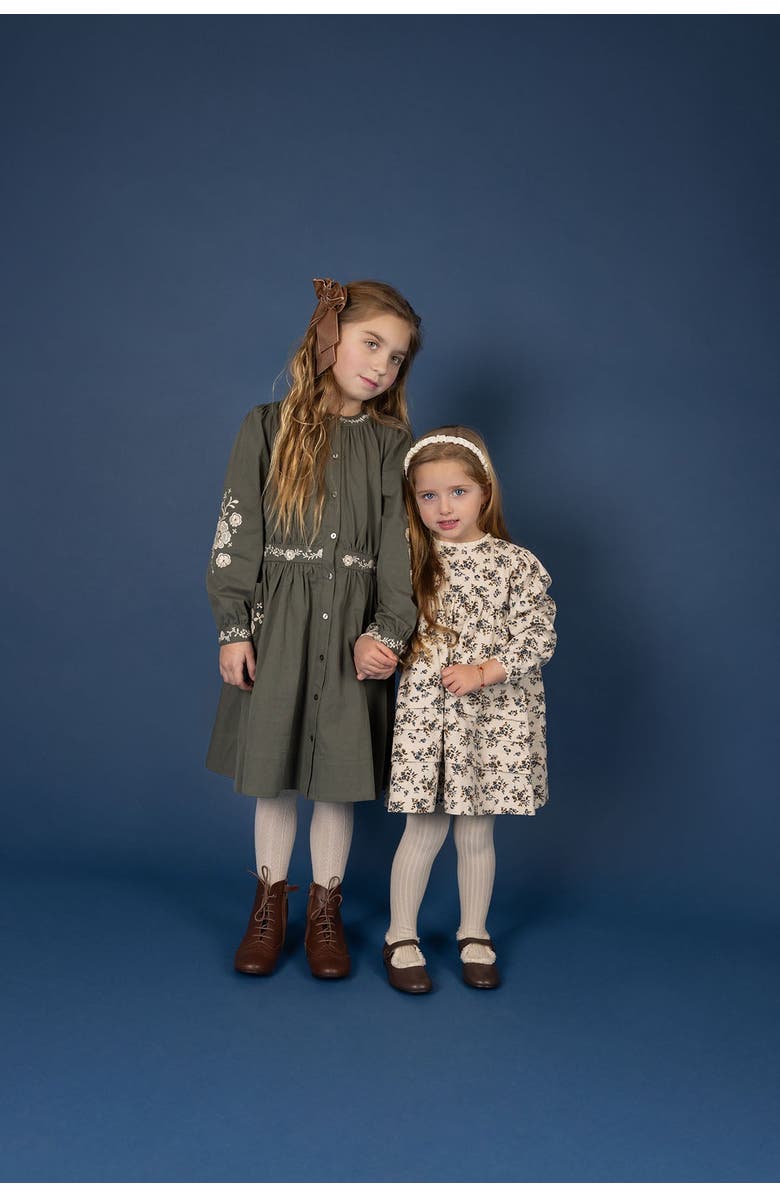 Ely's & Co. Looms Floral Embroidered Waisted Cotton Dress, Alternate, color, Olive