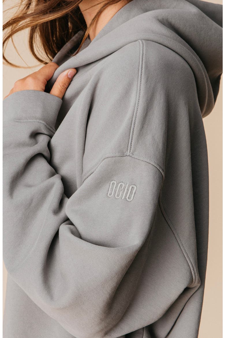 Women's Organic Cotton Teddy Oversized Hoodie, Alternate, color, Ash