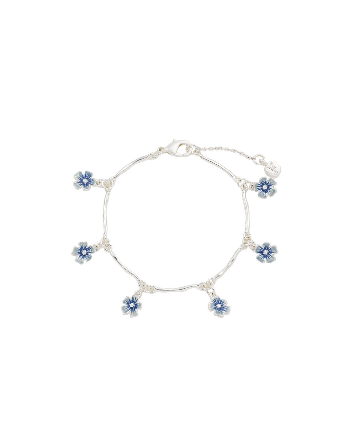 selected Blue & Silver