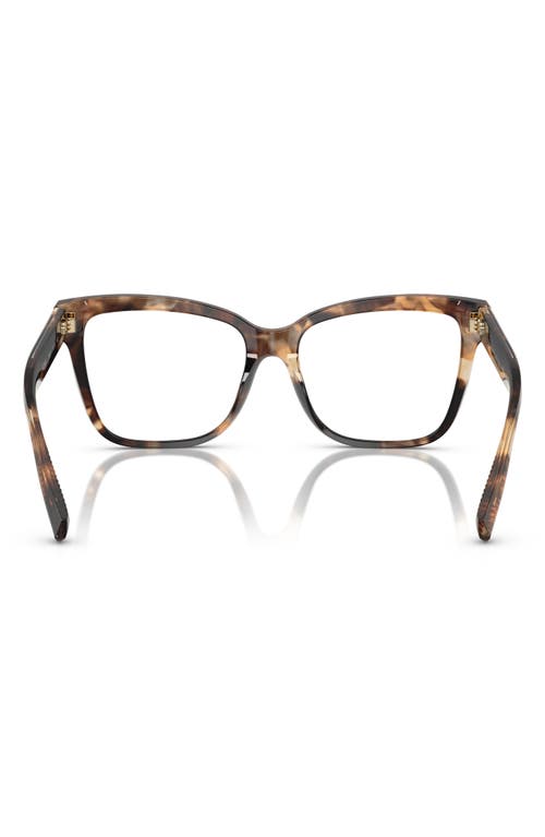 Tiffany & Co . 53mm Cat Eye Optical Glasses In Brown Havana