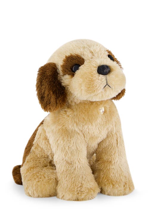 Snuggle Bunnies Stuffed Animal Coco The Shih Tzu In Sand