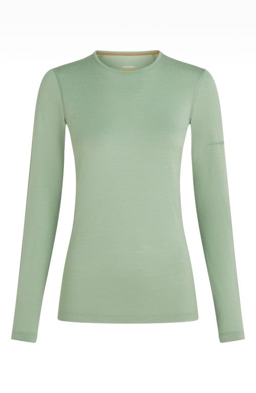 Icebreaker 200 Oasis Long Sleeve Merino Wool Base Layer T-shirt In Multi