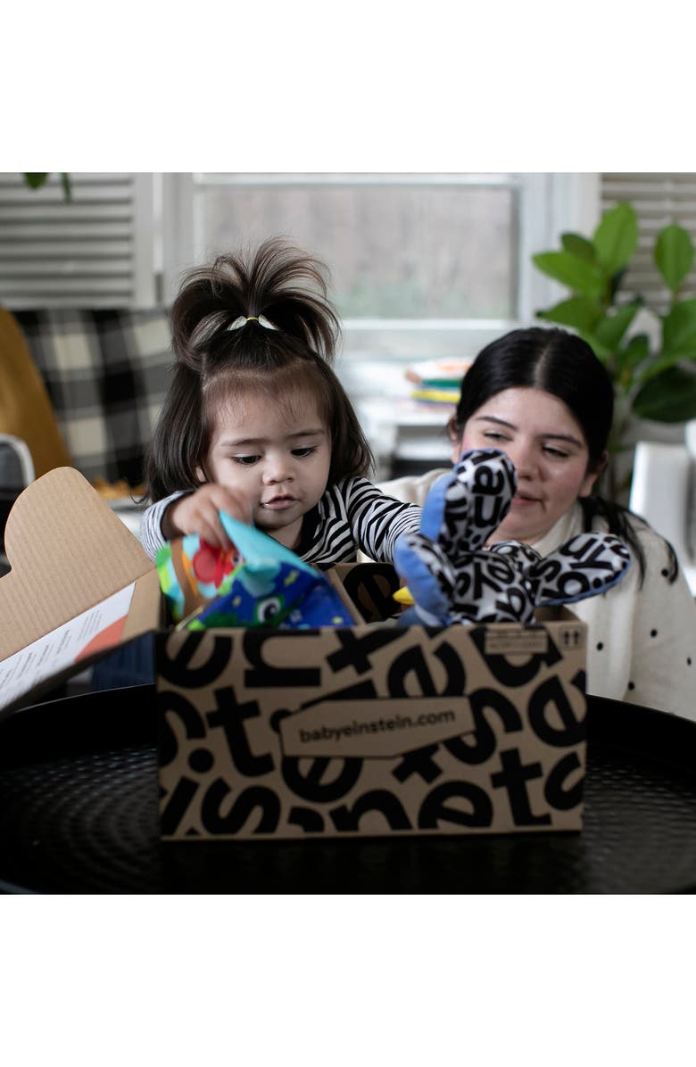 Baby Einstein Baby's First Language Teacher Developmental Toy Kit, Alternate, color,