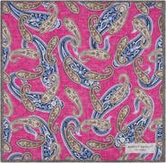 Robert Talbott Collins Double Print Pocket Square