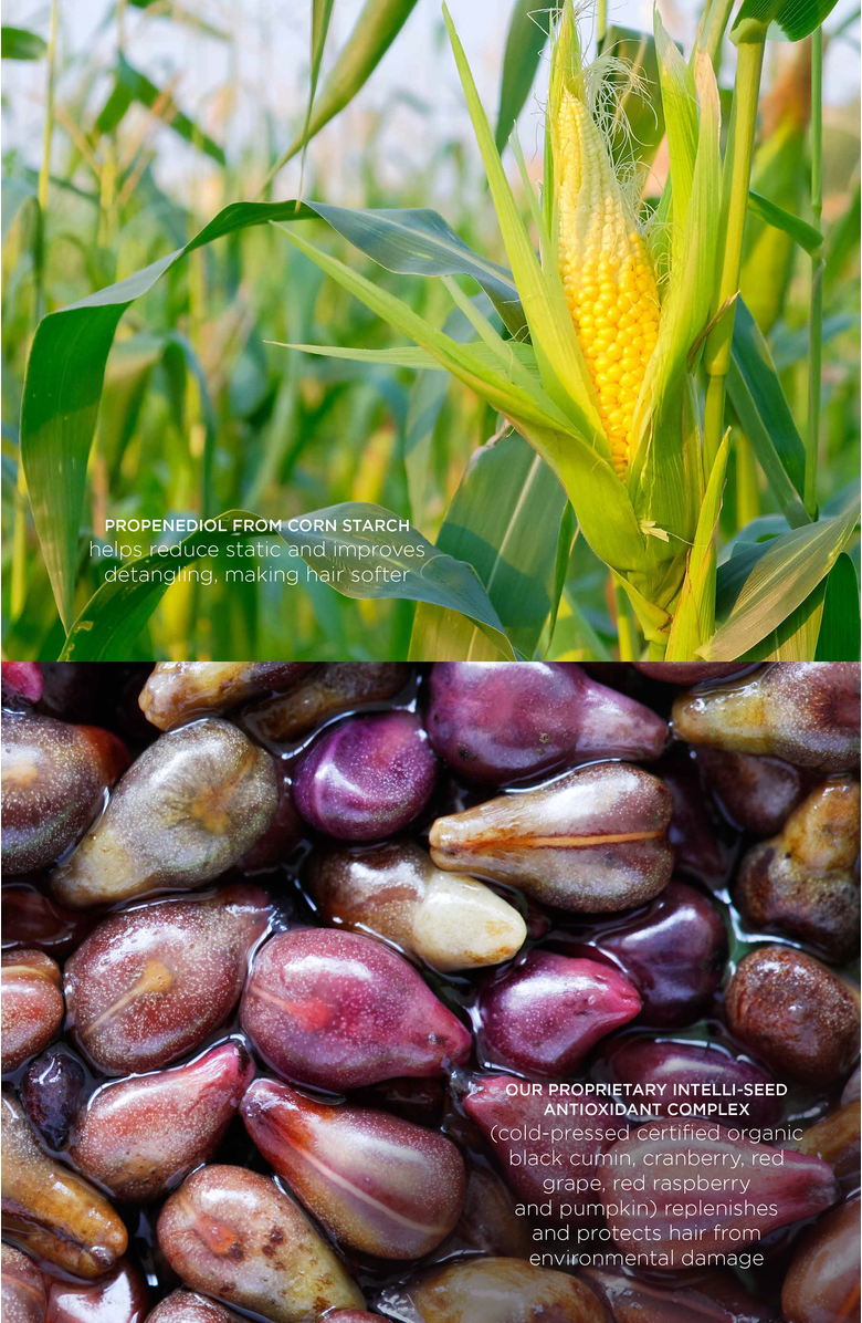 Intelligent Nutrients Shape-setter Flex Gel, Alternate, color, NO COLOR