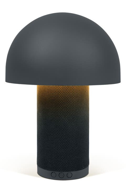 Mushroom Lamp and Wireless Speaker