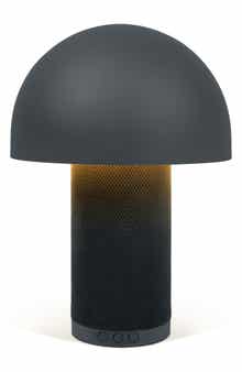 Mushroom Lamp and Wireless Speaker