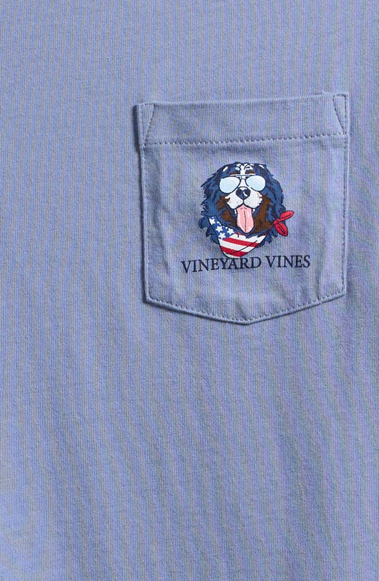 Kids' USA Mountain Dog Cotton Graphic T-Shirt