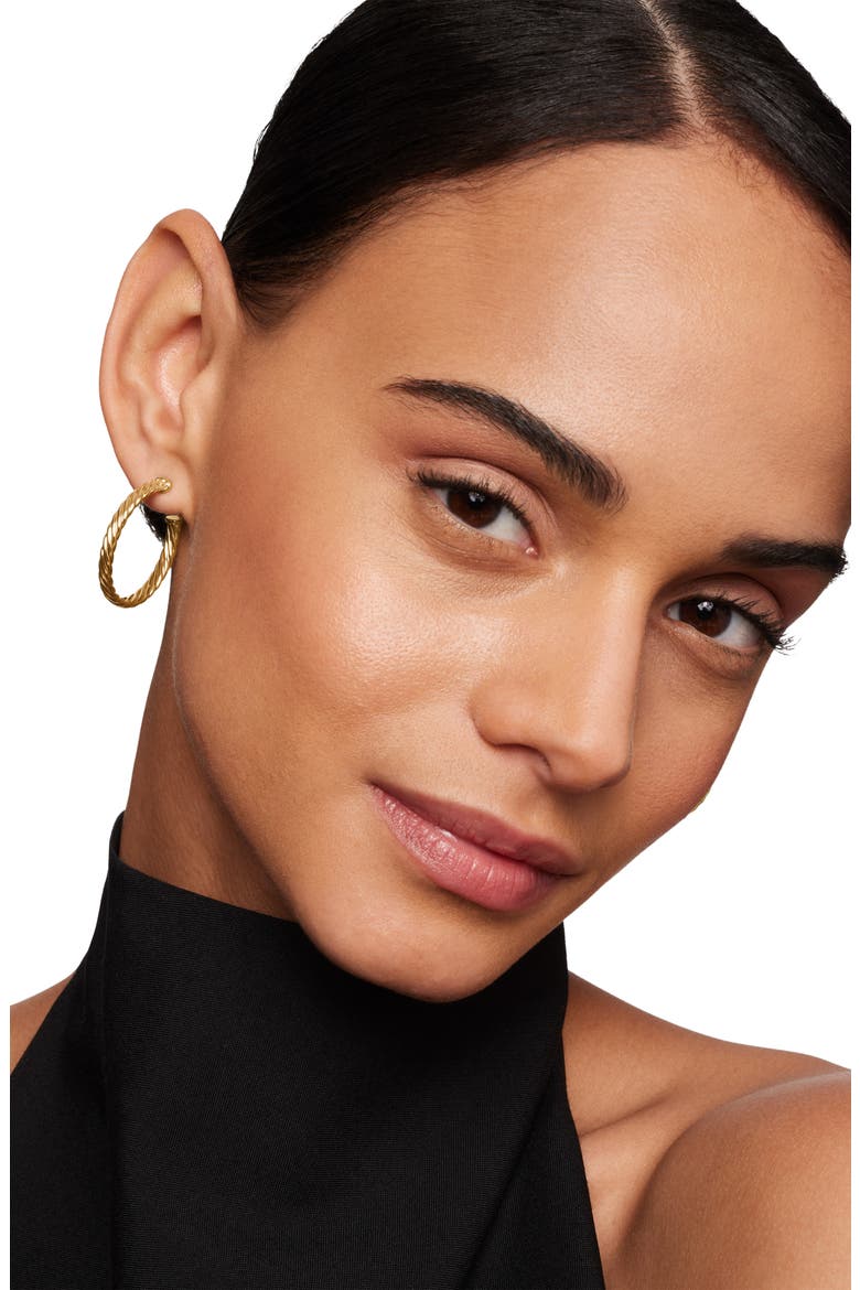 Cable Loop Hoop Earrings, Alternate, color, GOLD