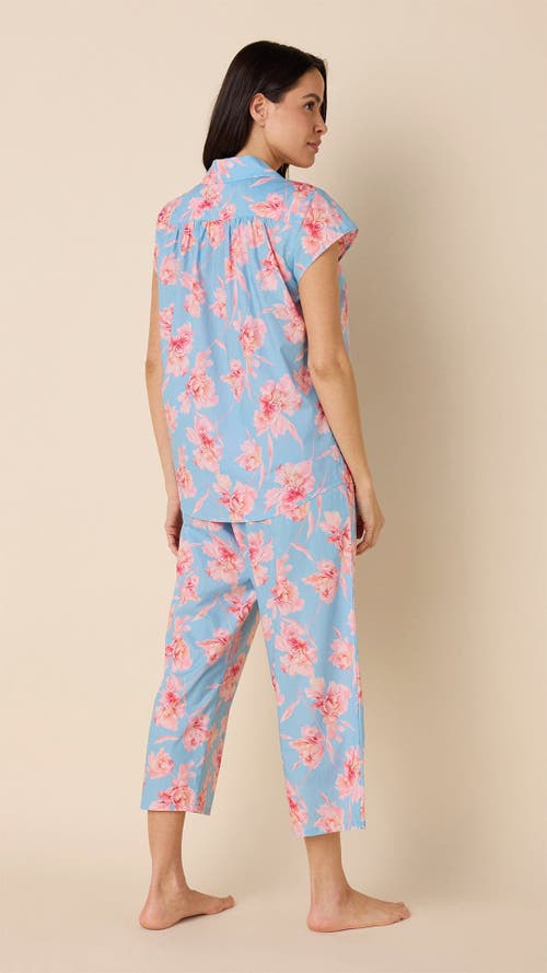 The Cat's Pajamas Luxe Pima Capri Set