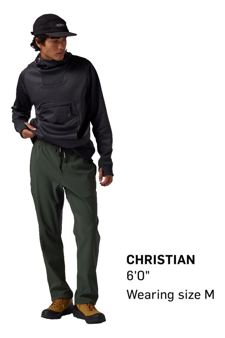 Destination Softshell Fleece Pant - Men's, Main, color, Climbing Ivy