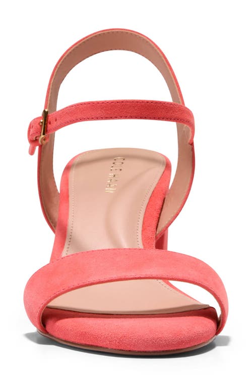 Cole Haan Josie Block Heel Sandal In Dubarry Suede