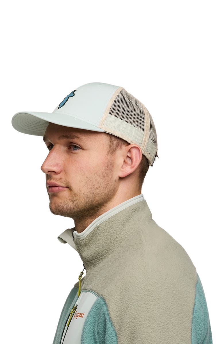Cotopaxi Llama Trucker Hat, Alternate, color, Foam