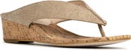 Donald Pliner Vylette Wedge Flip Flop