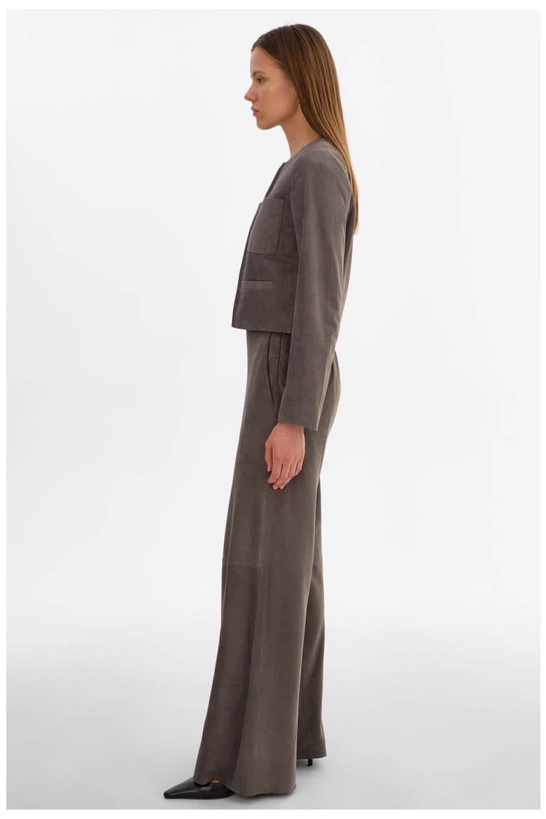Linette S | Suede Jacket, Alternate, color, Streel Grey