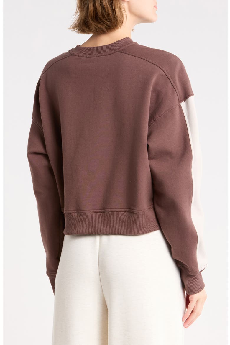 Cloud Plush Henley Sweatshirt, Alternate, color, SHOPPING BAG/ NACREOUS CLOUDS