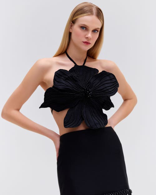 Patbo Hand-beaded Flower Top In Black