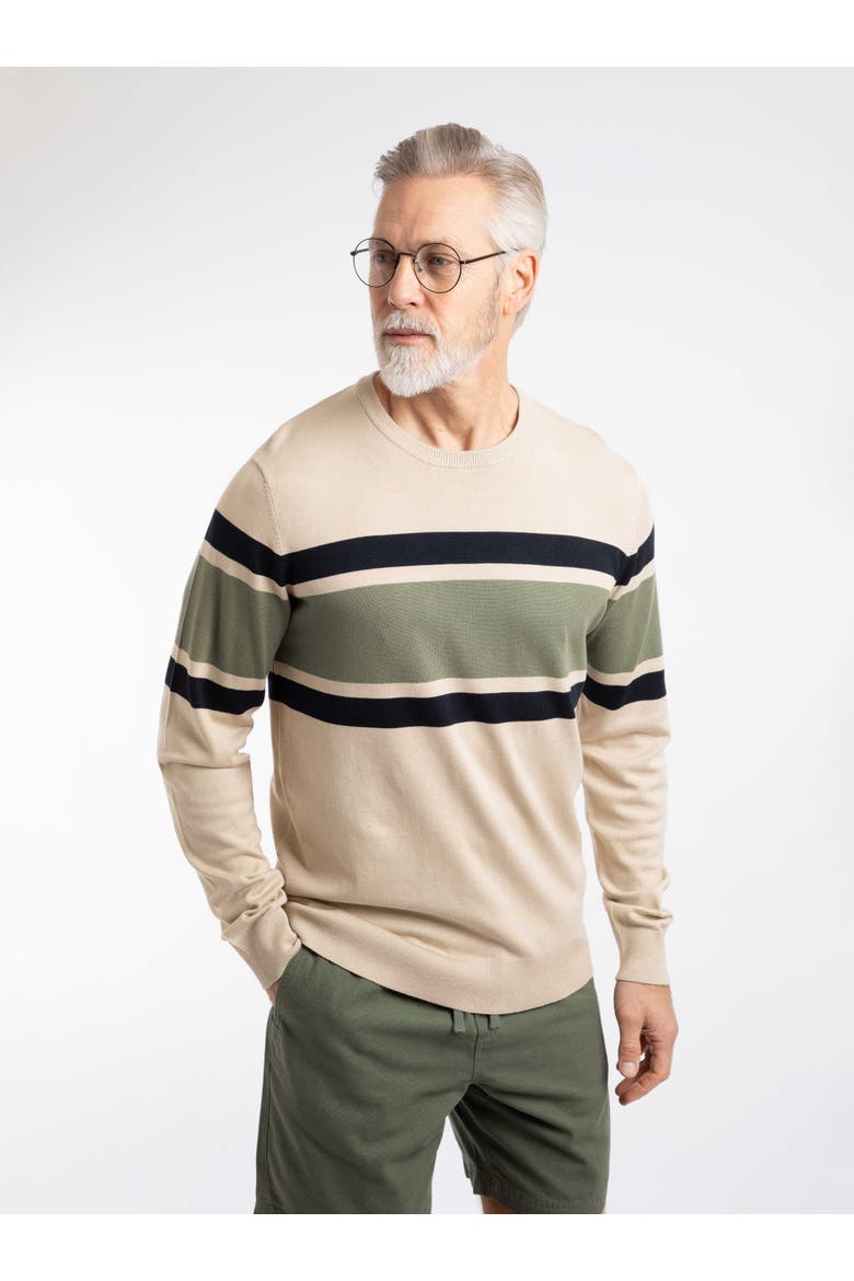 Ryker Stripe Crew Neck Jumper, Main, color, Oyster
