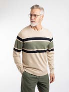 Weird Fish Ryker Stripe Crew Neck Jumper