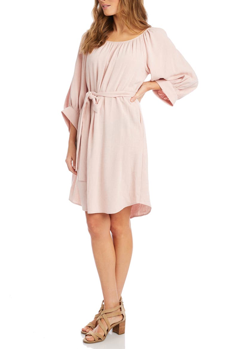 Blouson Sleeve Dress, Alternate, color, ROSE