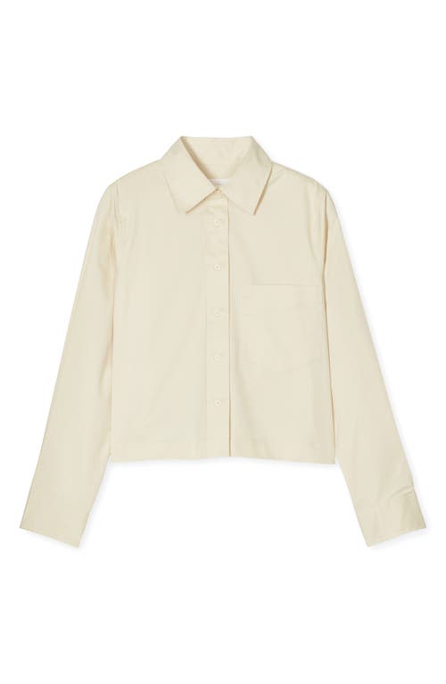 Closed Cotton Crop Button-up Shirt In Brown