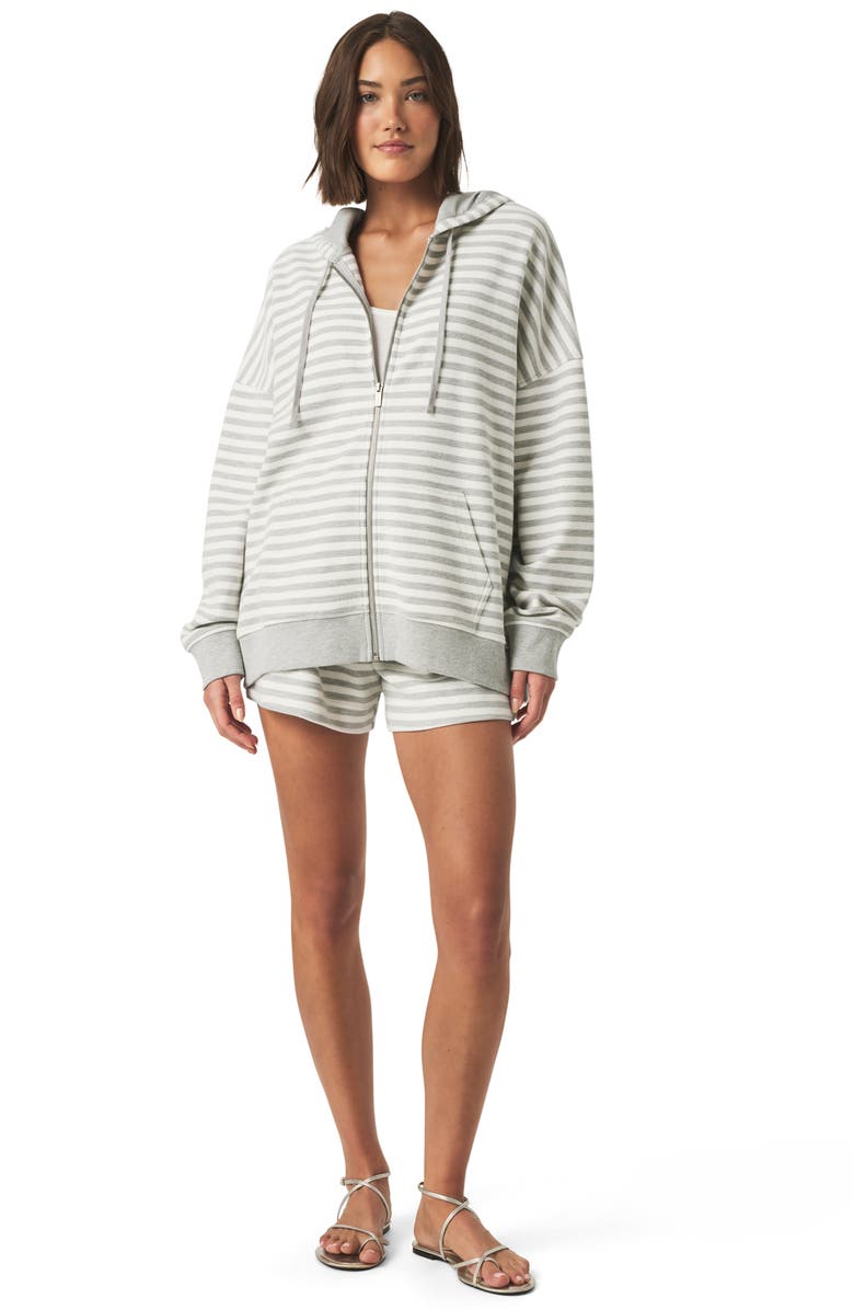 Splendid Stripe Terry Zip Hoodie, Alternate, color, 