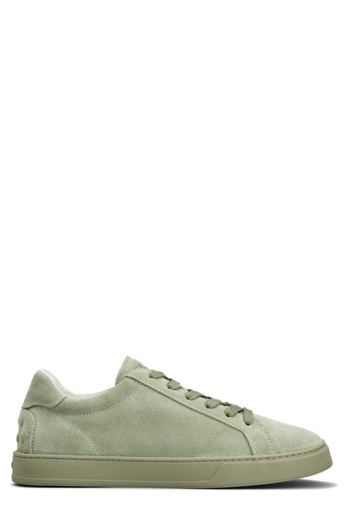 Tod's Allacciata Cassetta Sneaker In Oil Green